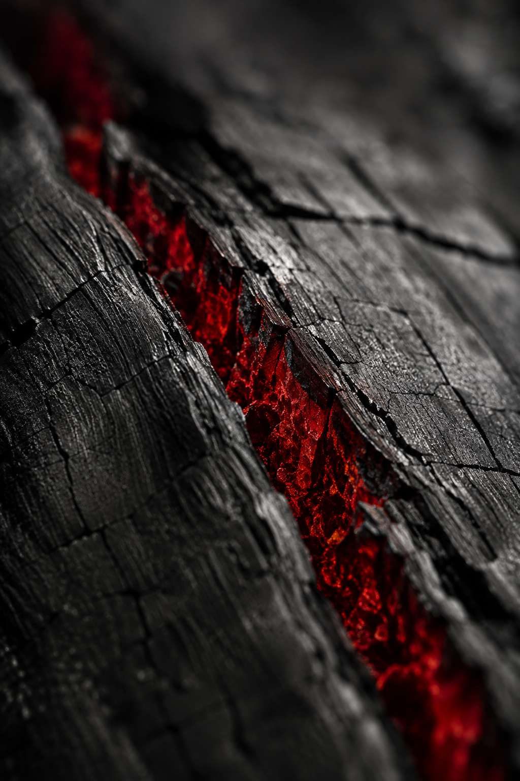 Rust, char, lichen and bone — surfaces that record what happened to them.